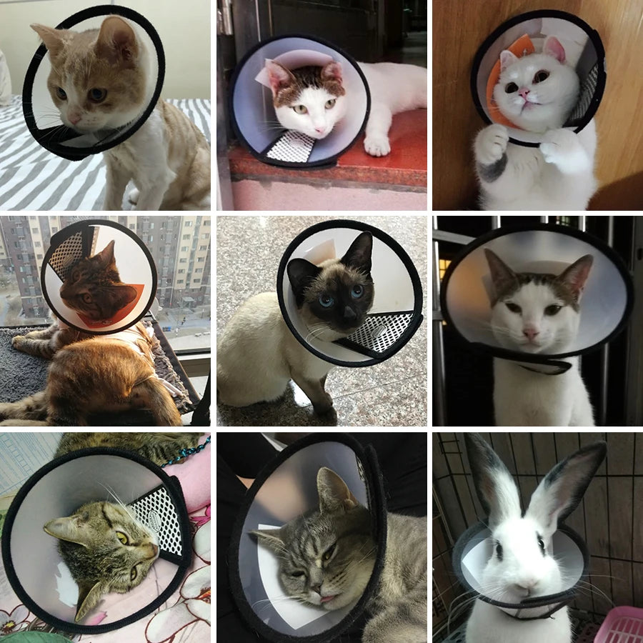 CONE PÓS OPERATÓRIO PARA CÃES E GATOS