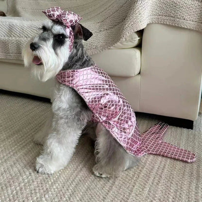 ROUPAS PARA PET / HALLOWEEN