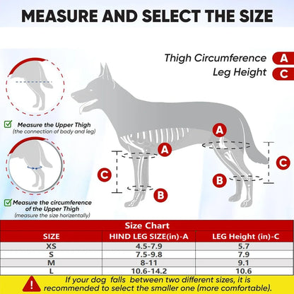 JOELHEIRAS COM SUPORTE PARA CÃES