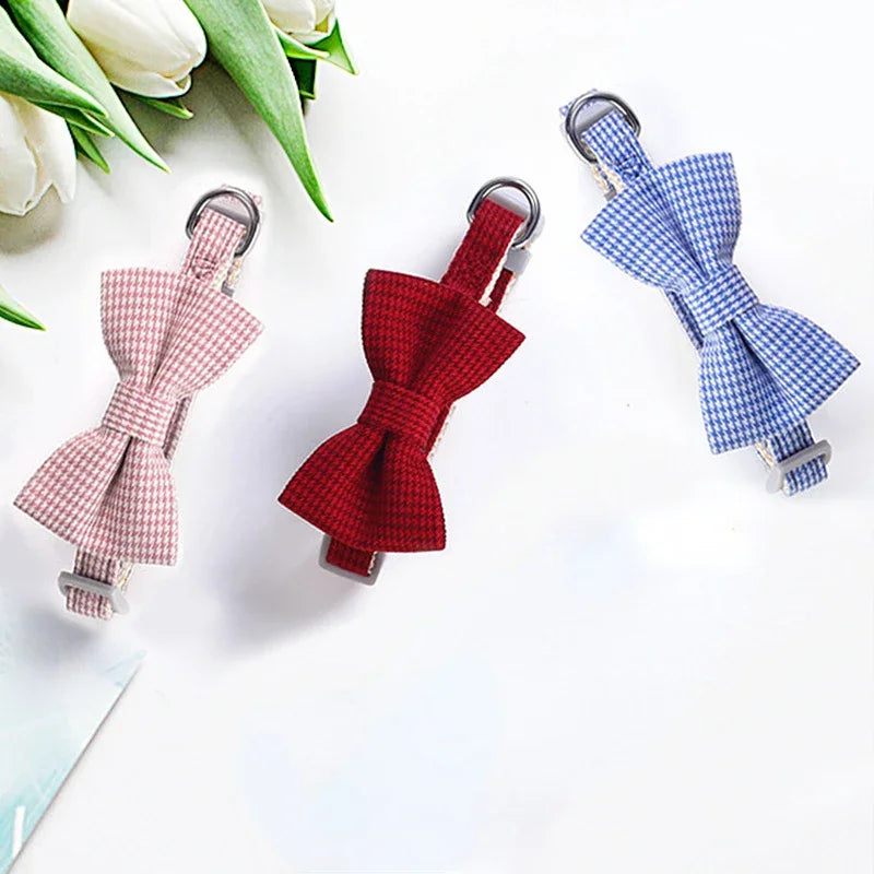 COLEIRA GRAVATA PARA GATOS