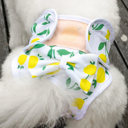 FRALDAS REUTILIZÁVEIS E LAVAVEIS PARA CÃES / MODELO 02