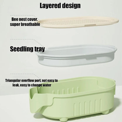 CAIXA HIDROPÔNICA DE GRAMA PARA GATOS