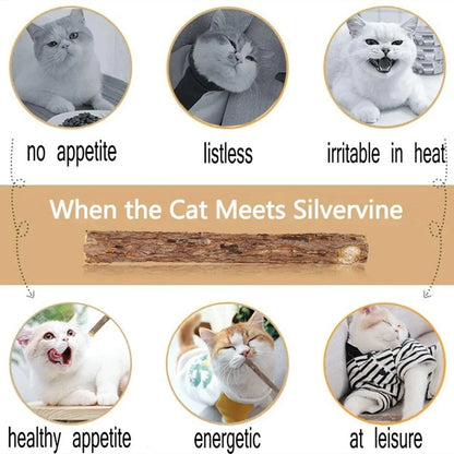 MASTIGADOR NATURAL PARA HIGIENE DENTAL DOS GATOS COM 15UN / MATATABI