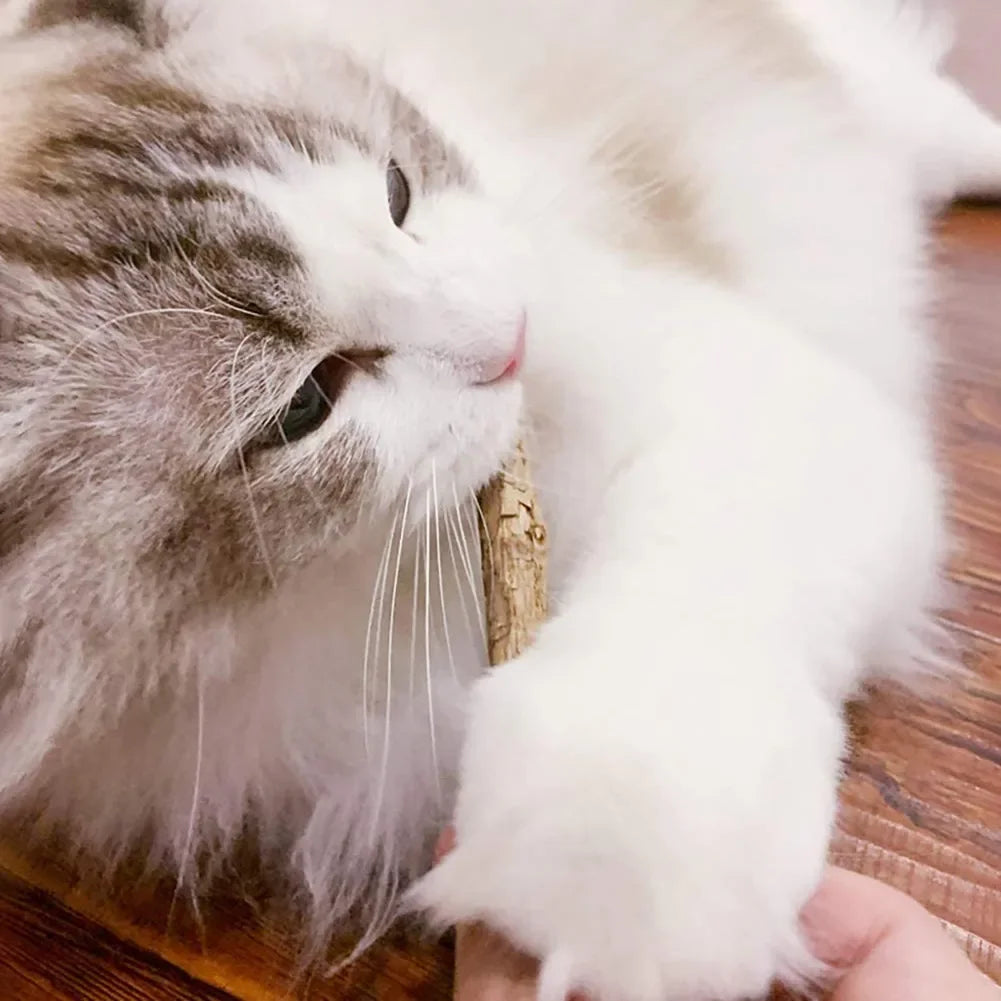 MASTIGADOR NATURAL PARA HIGIENE DENTAL DOS GATOS COM 15UN / MATATABI