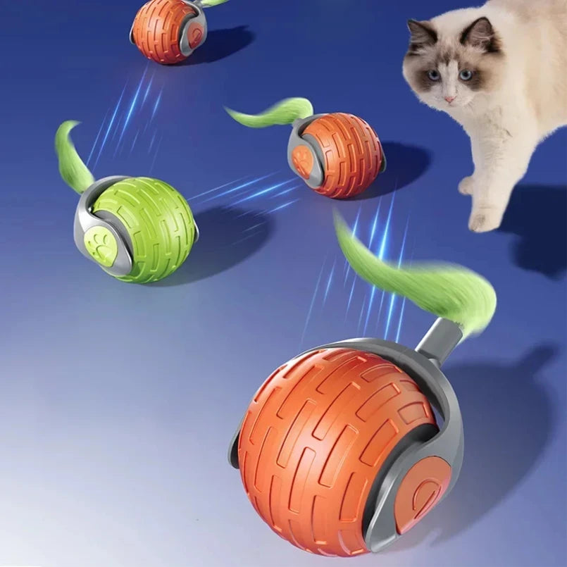 BOLA AUTOMÁTICA PARA GATOS