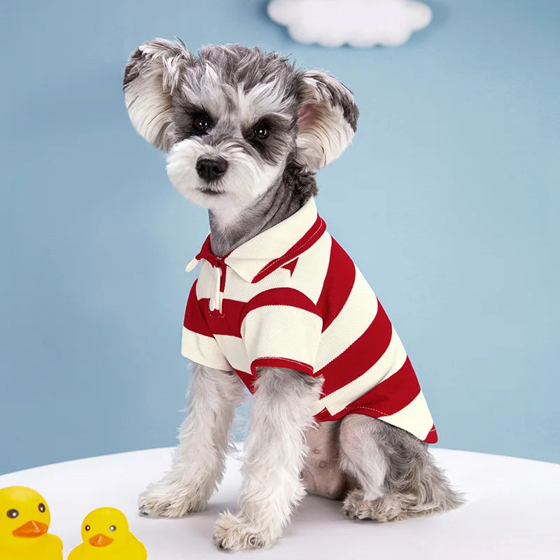 CAMISA POLO PARA CÃES