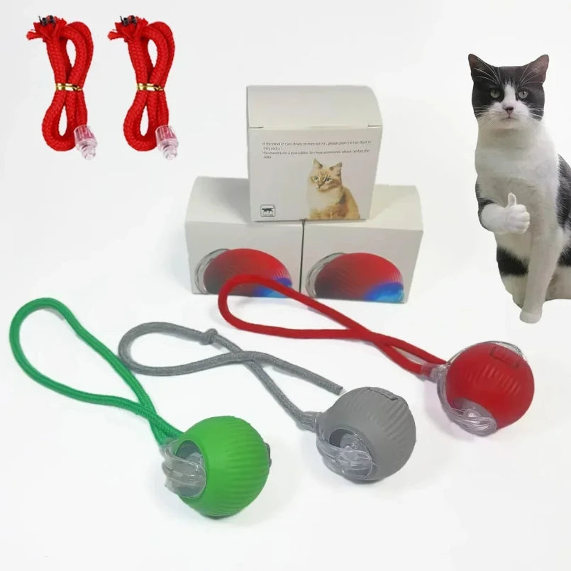 BOLA AUTOMÁTICA PARA GATOS