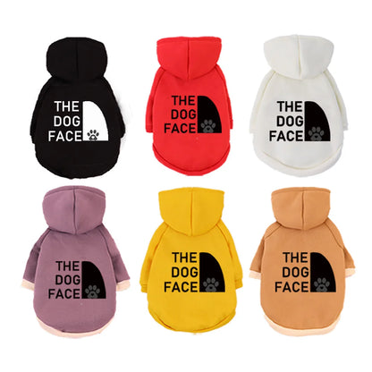 MOLETOM COM CAPUZ PARA GATOS E CÃES