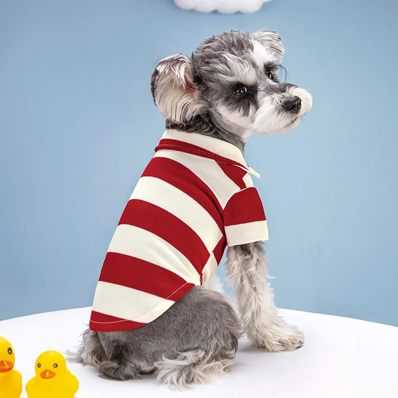 CAMISA POLO PARA CÃES
