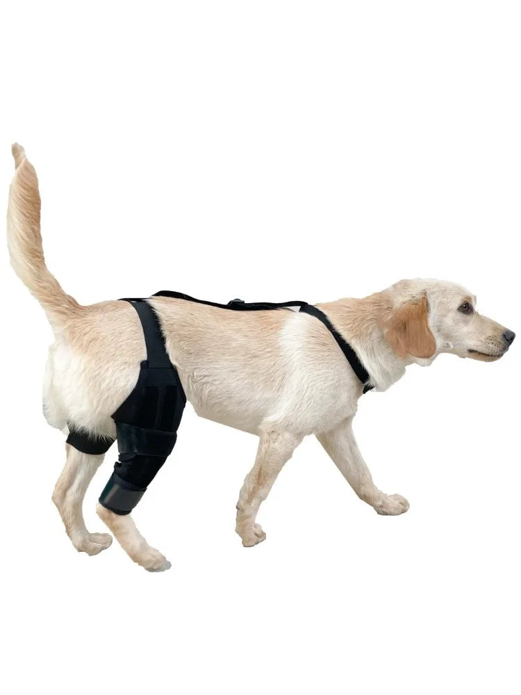 JOELHEIRAS COM SUPORTE PARA CÃES