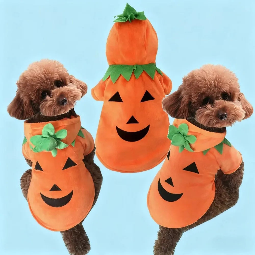 ROUPAS PARA PET / HALLOWEEN