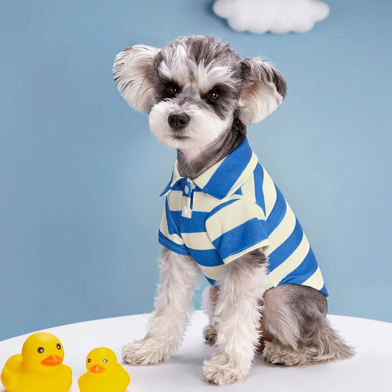 CAMISA POLO PARA CÃES